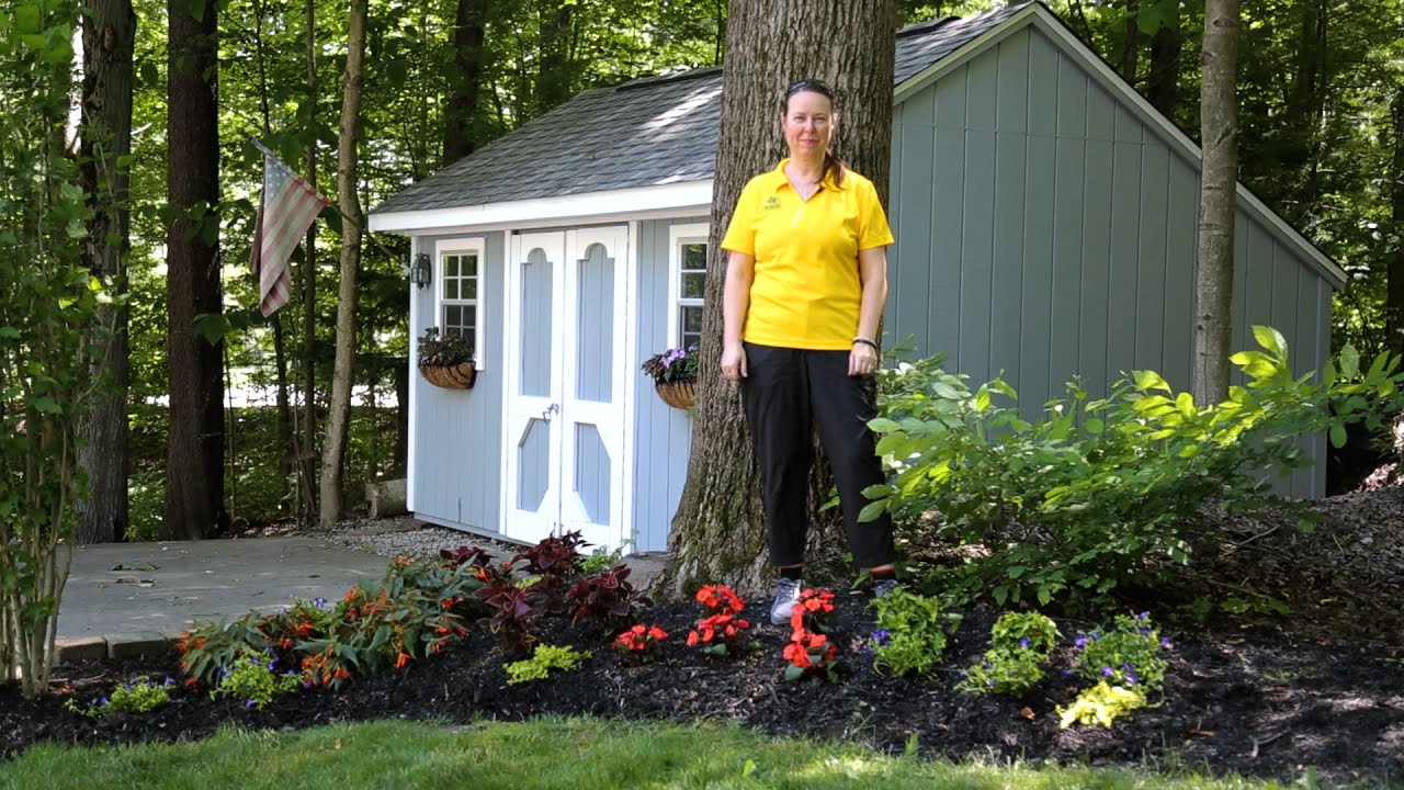 PETITTI | Planting a Shade Garden with Annuals