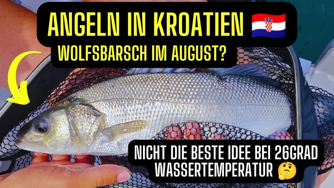 Angeln in Kroatien! Wo sind die Wolfsbarsche?