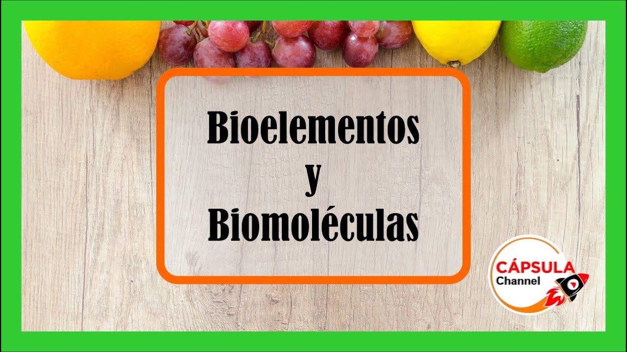 Bioelementos y Biomoléculas/ FACIL y SENCILLO !!! / 🔥🔥🔥