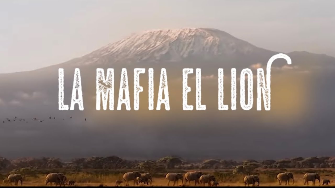 LAMAF - EL LION 🦁(CLIP OFFICIEL)