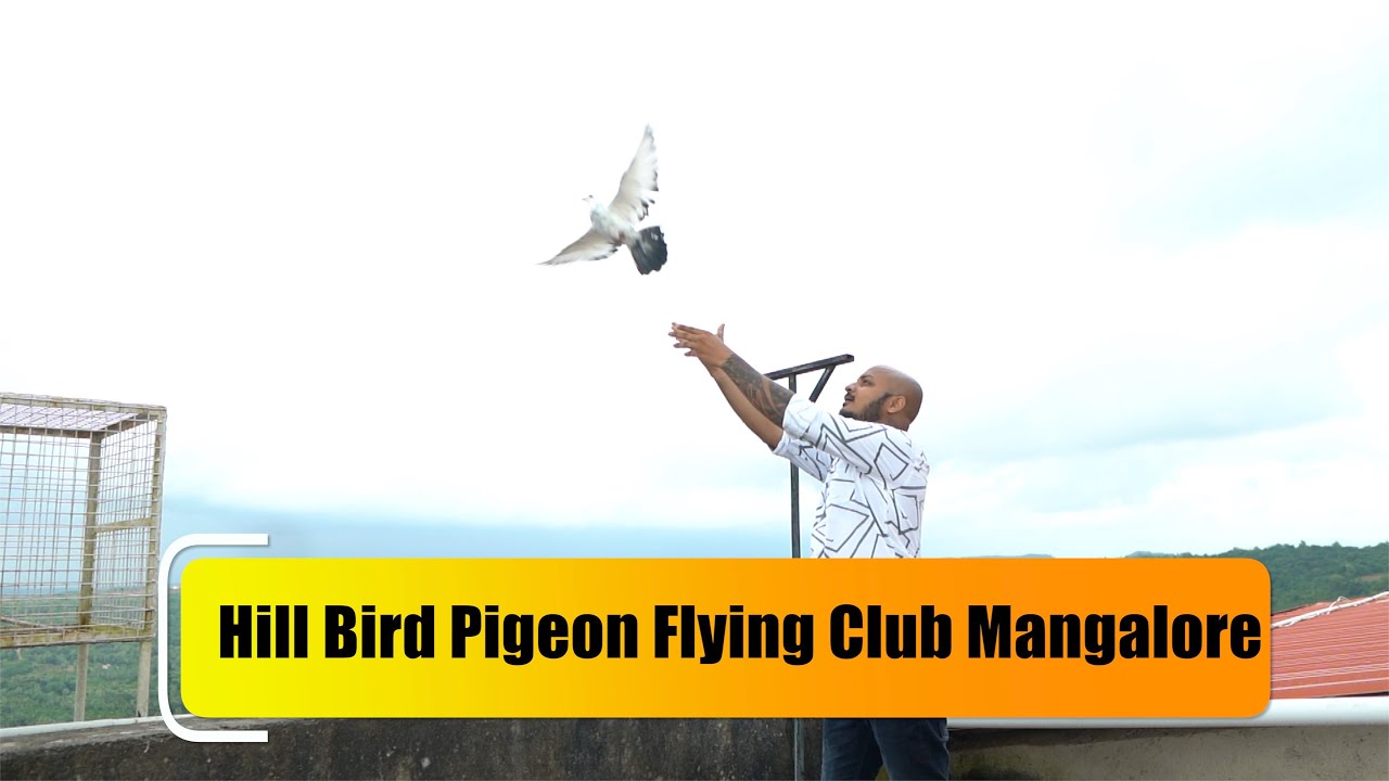 Hill Bird Pigeon Flying Club Mangalore