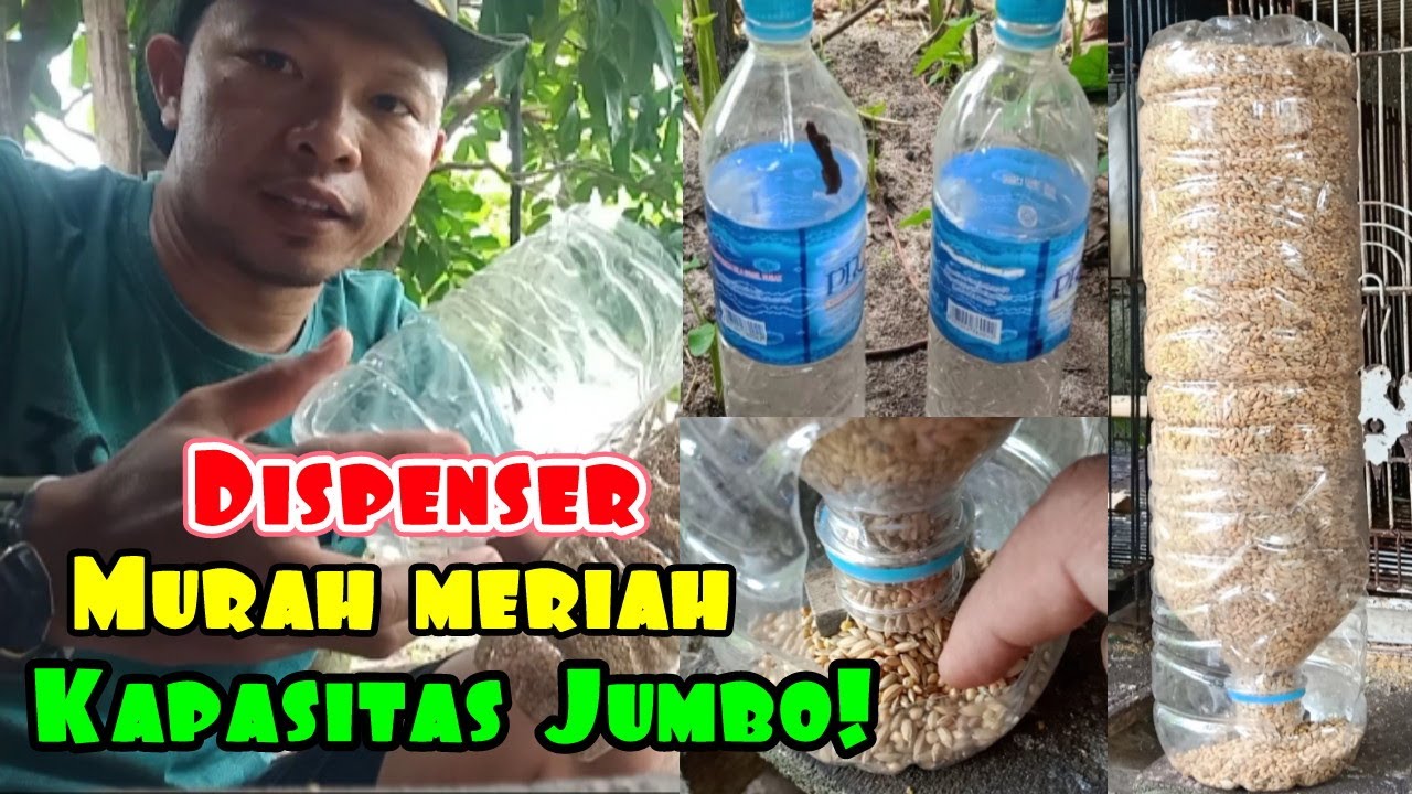 CARA MEMBUAT TEMPAT PAKAN LOVEBIRD DARI BOTOL BEKAS | MURAH DAN PRAKTIS