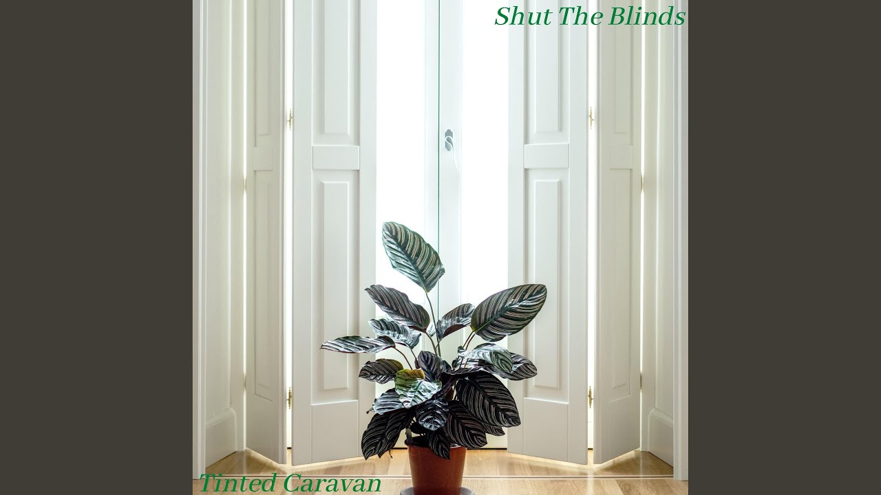 Shut The Blinds