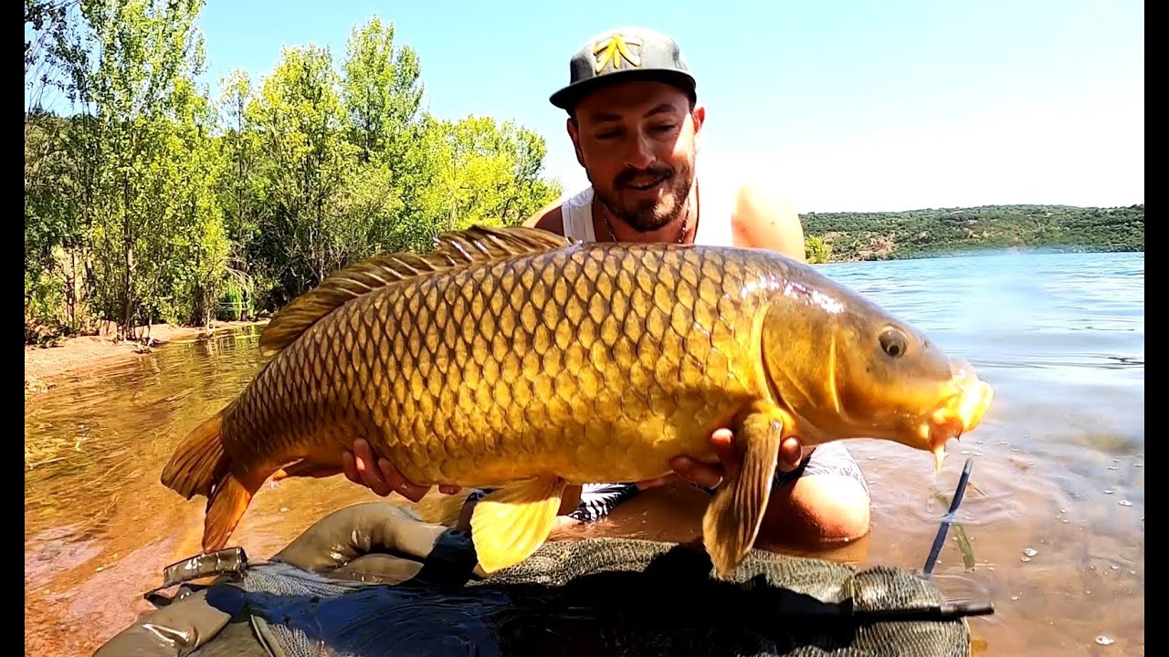 52 Heures Carpe au Salagou !