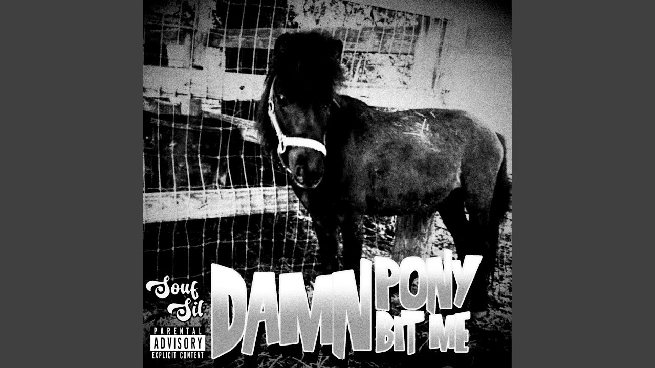 Damn Pony Bit Me (Slowed)