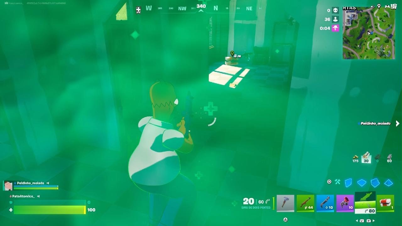 Fortnite Homer e Peter griff🔥