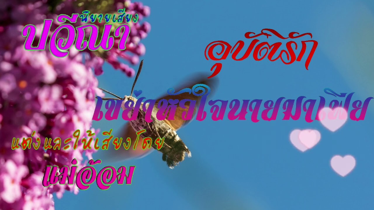 อุบัติรักเขย่าหัวใจนายมาเฟีย(จบในตอน) #นิยายเสียง #meeaom
