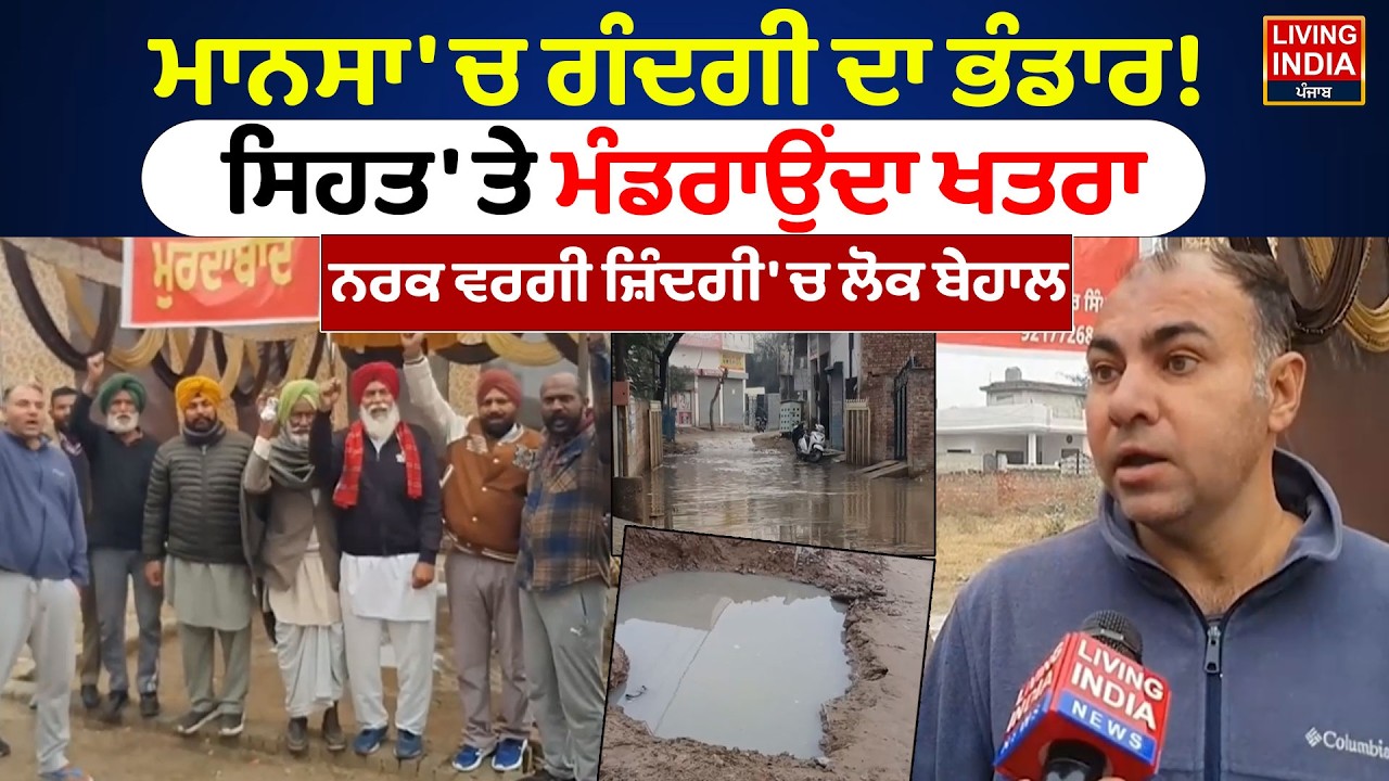 Mansa 'ਚ ਗੰਦਗੀ ਦਾ ਭੰਡਾਰ! ਸਿਹਤ 'ਤੇ ਮੰਡਰਾਉਂਦਾ ਖਤਰਾ, ਨਰਕ ਵਰਗੀ ਜ਼ਿੰਦਗੀ 'ਚ ਲੋਕ ਬੇਹਾਲ | Public Health