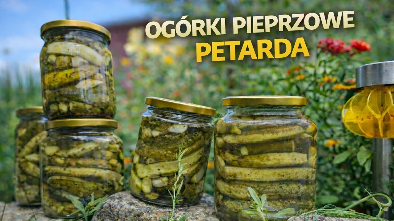 Ogórki pieprzowe-Petarda 🥒(  Pepper cucumbers - Firecracker)