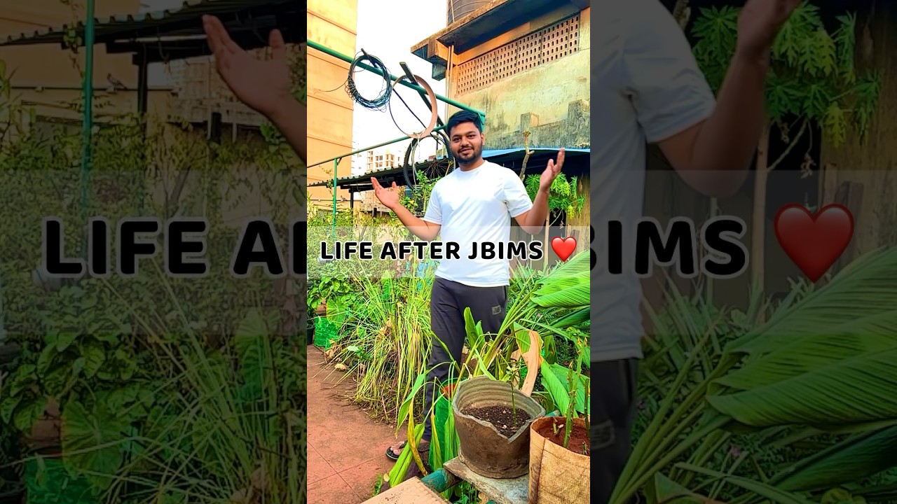 Life after JBIMS