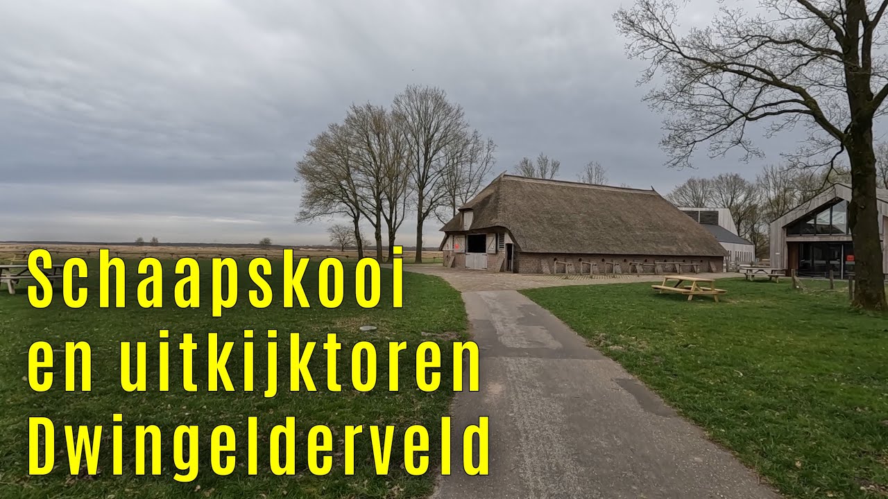 Schaapskooi en uitkijktoren Dwingelderveld