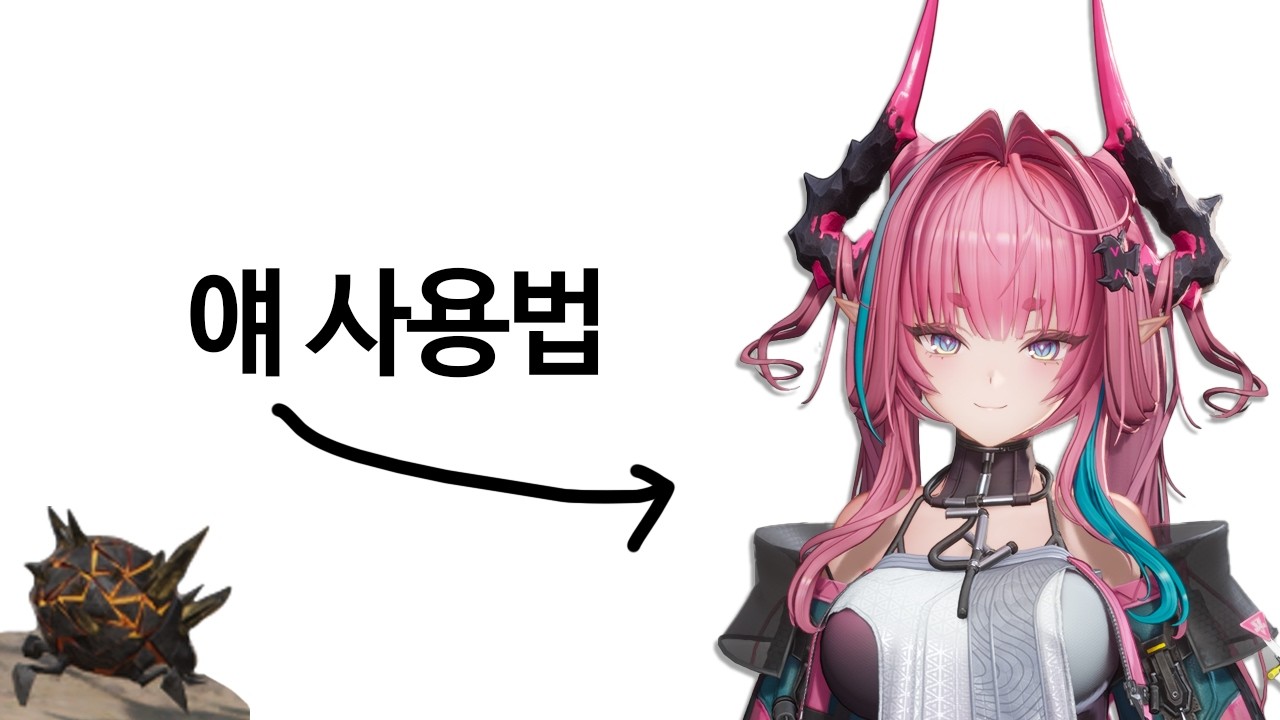 [엔드필드] 원석충도 이해할 수 있는 이본 사용법