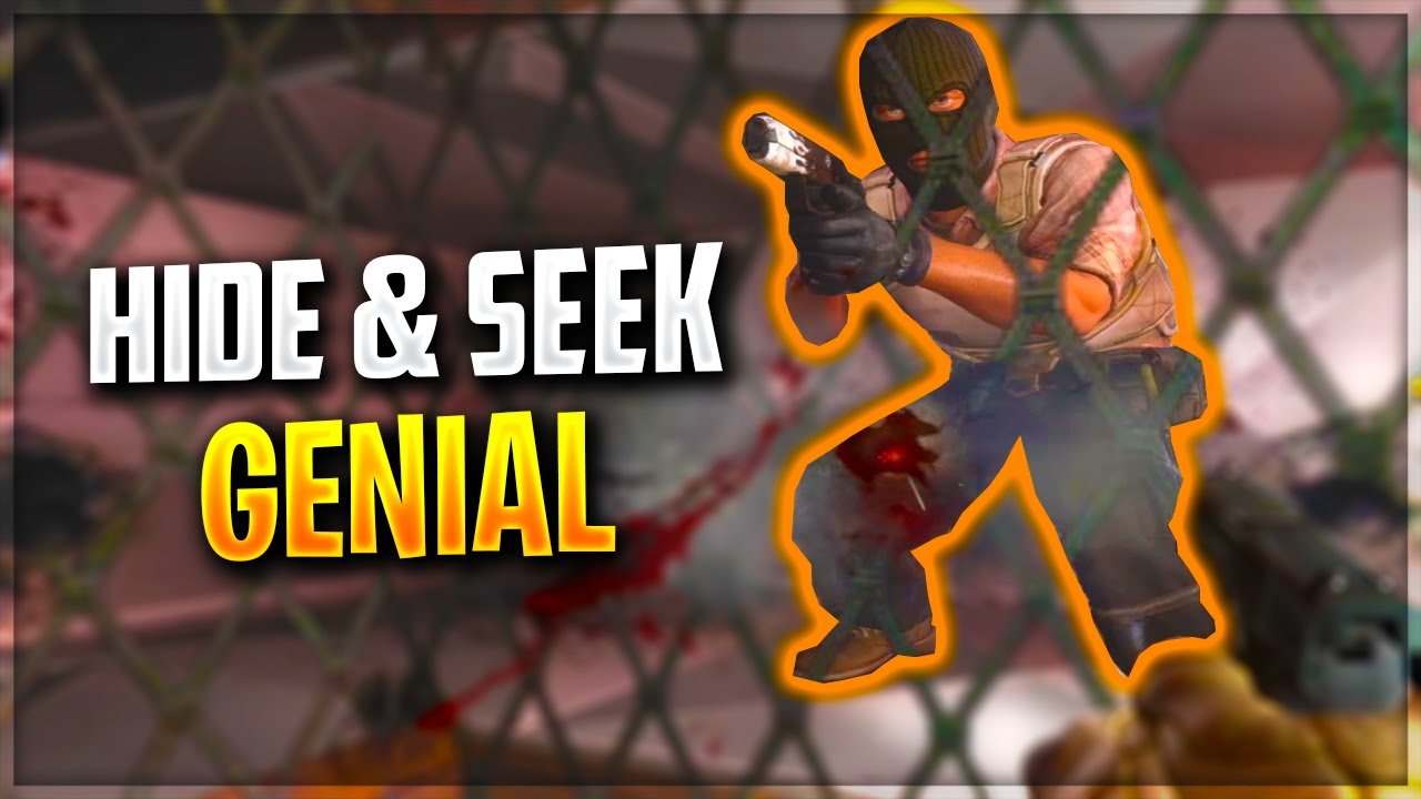 HIDE & SEEK GENIAL! ASCUNZATORI NEBUNE!