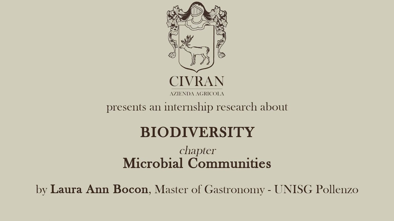 Biodiversity: 1.2 Microbial Communities - Research by Laura Ann Bocon