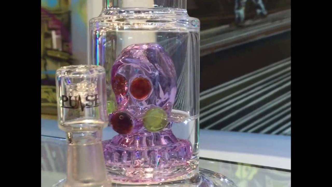 Pulse Shrub Water pipe Rig Diffused Galleria