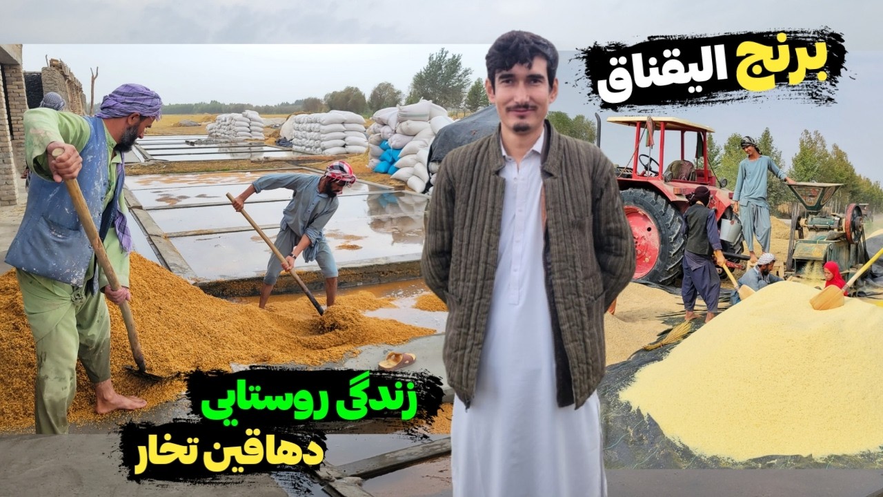 سفر به دهکده القناق کَندو برنج افغانستان ، گفتگو با دهاقین زحمت‌کش و قصه های روستایی || Our Village