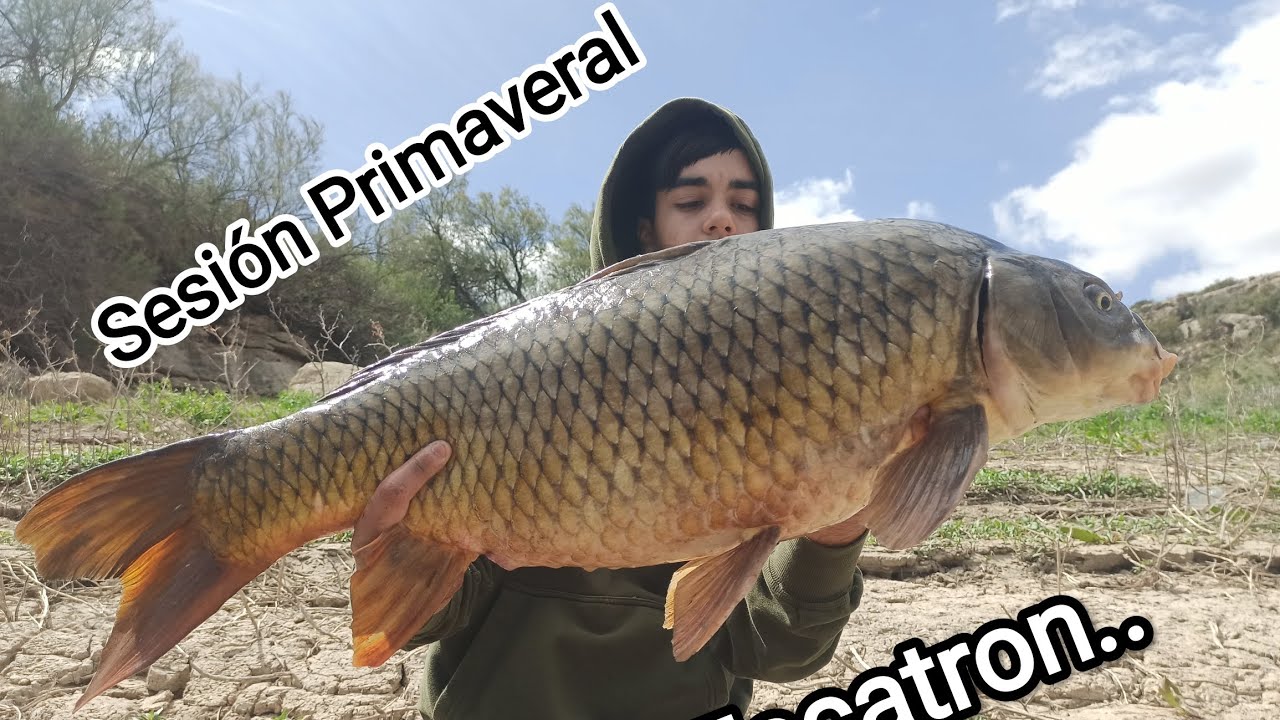 || Sesión Primaveral En Escatron || Ebro || Zaragoza ||