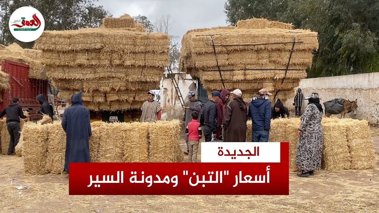تجار بالجديدة يربطون غلاء أسعار التبن بمدونة السير.. 