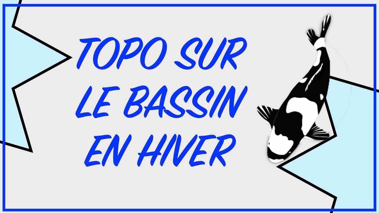Préparer l'hiver au bassin