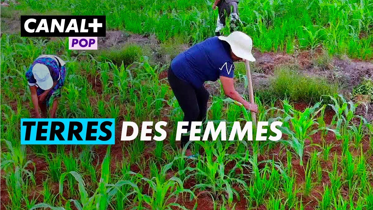 ENQUÊTE D'AFRIQUE - TERRES DES FEMMES (18/03/2025)