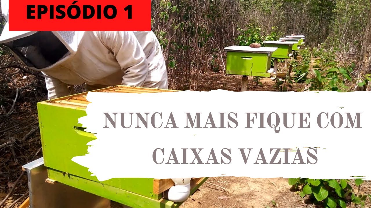 Divisão de Enxame Passo a Passo (Método X, Parte 1).