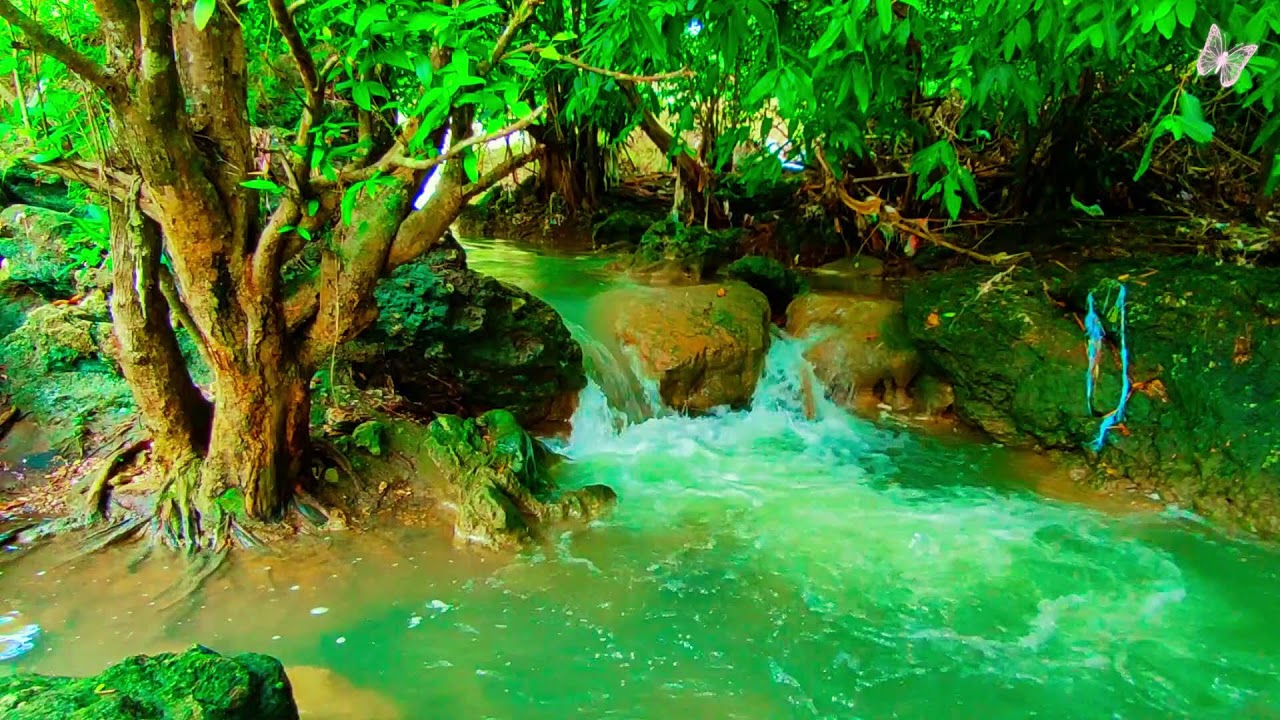 NO AI || Relaxing Music For Stress Relief, Anxiety and Depressive States🌲Heal Mind, Body and Soul 37