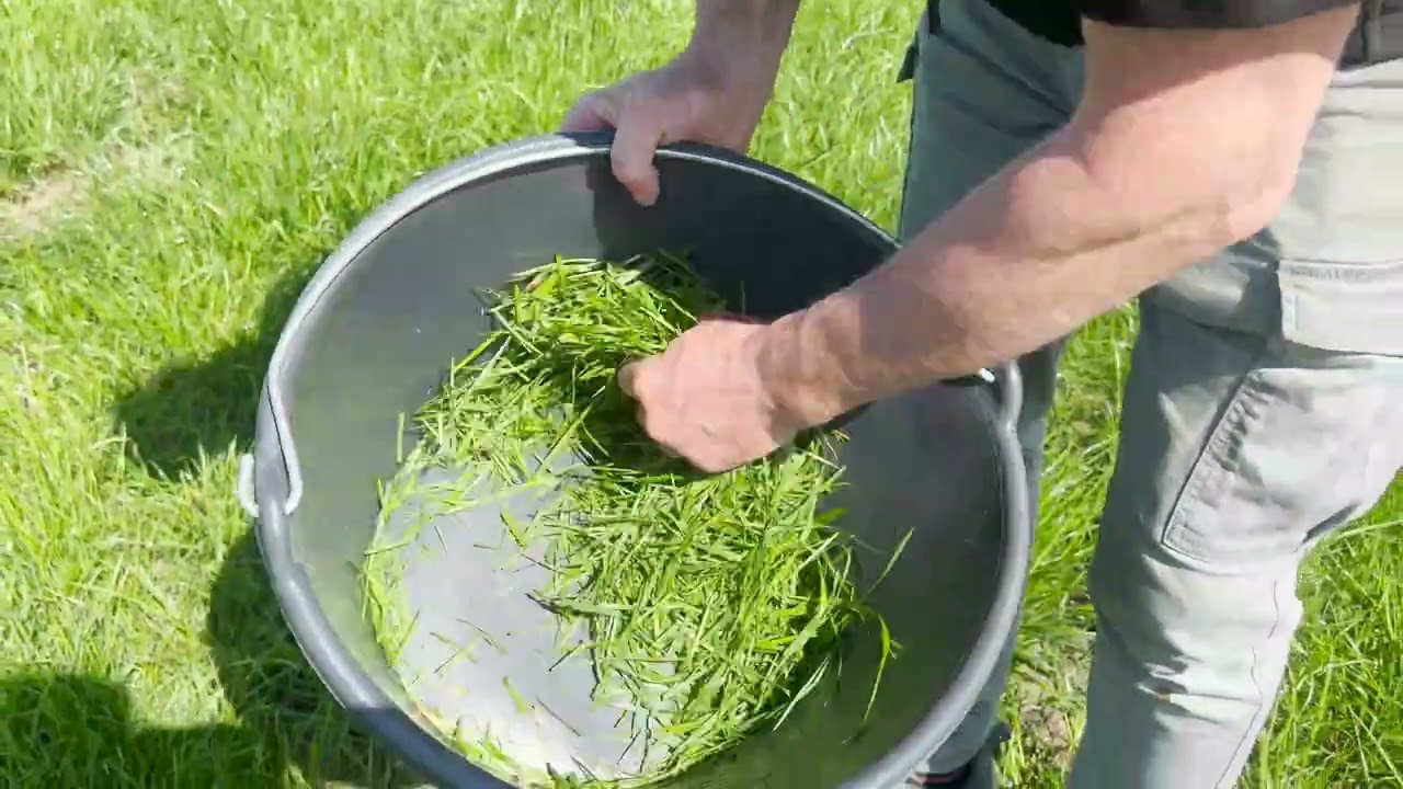 How To Measure Grass Sugars With A Refractometer - Lets Talk Grazing