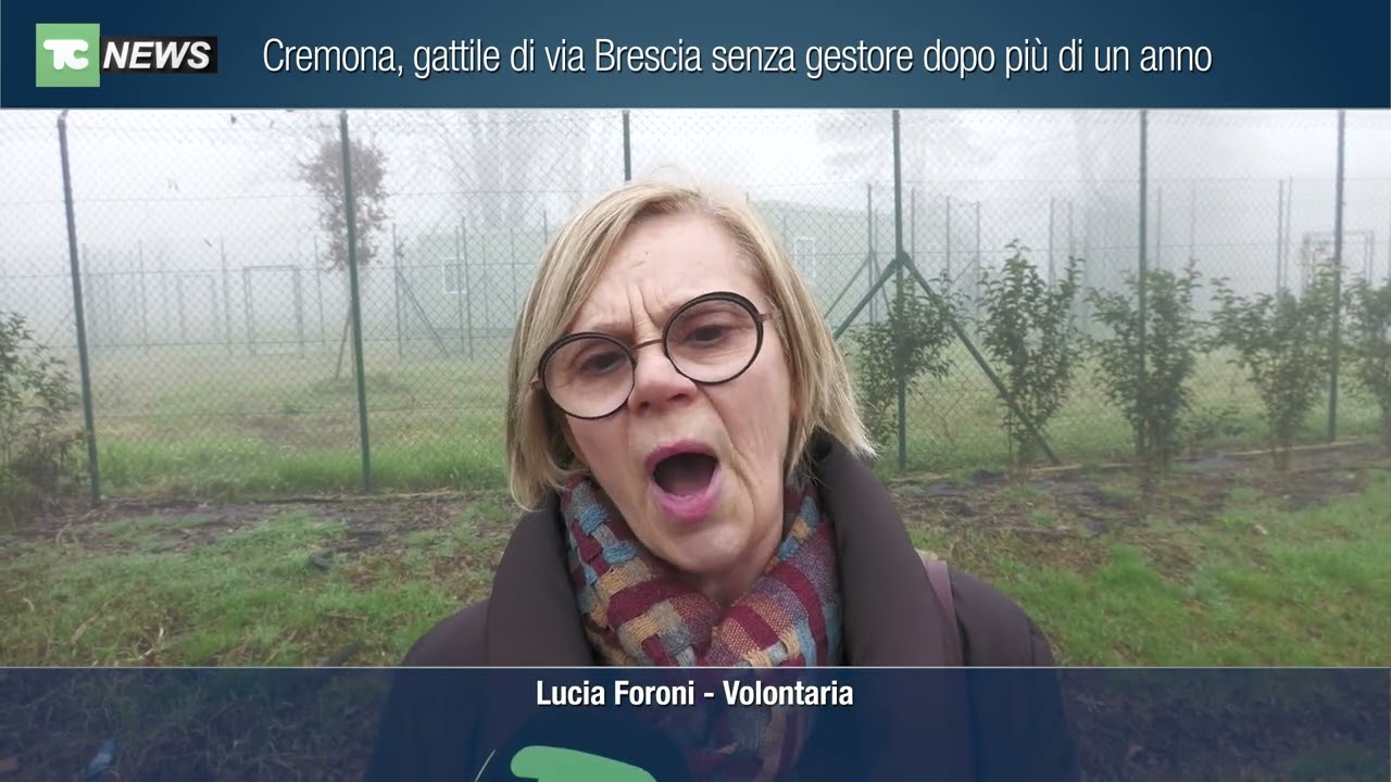 Cremona, gattile di via Brescia senza gestore dopo più di un anno