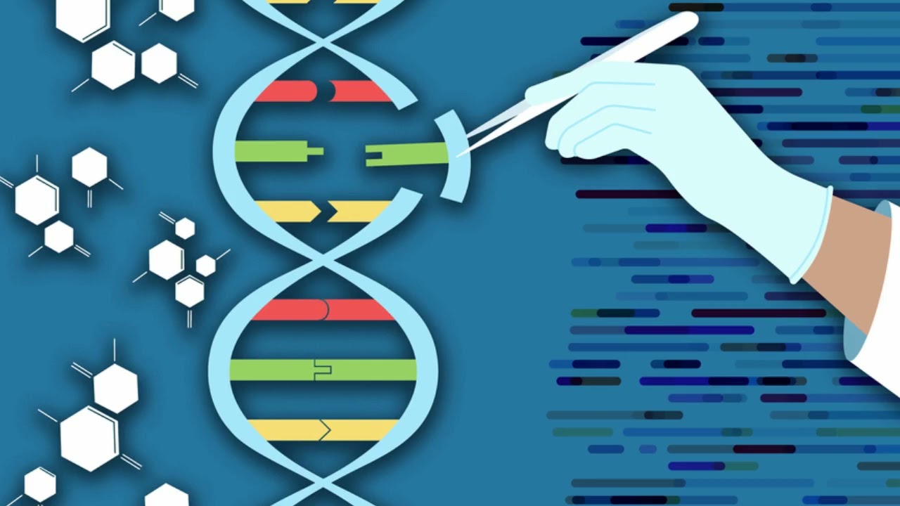 New CRISPR-based tool 