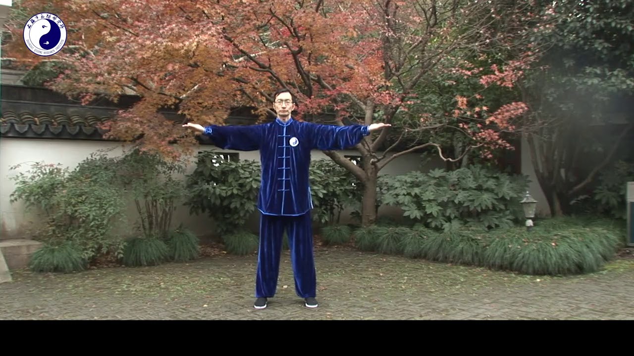 5. Song Rou Gong (Soft and Relaxed Exercise) By Bin Xiao 松柔功（肖斌）