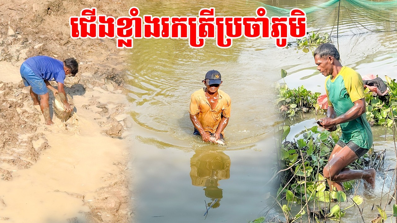 មិនធម្មតា ចាស់ៗពូកែមើលមាត់ត្រីផុស - បង់ត្រីផុសនៅតាមស្ទឹង Ep16