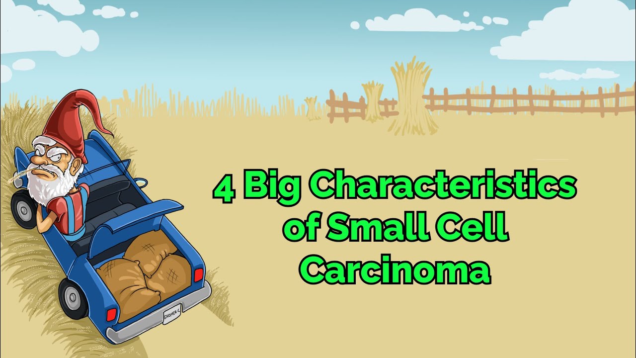4 Big Characteristics of Small Cell Carcinoma (Step 1, COMLEX, NCLEX&reg;, PANCE, AANP)