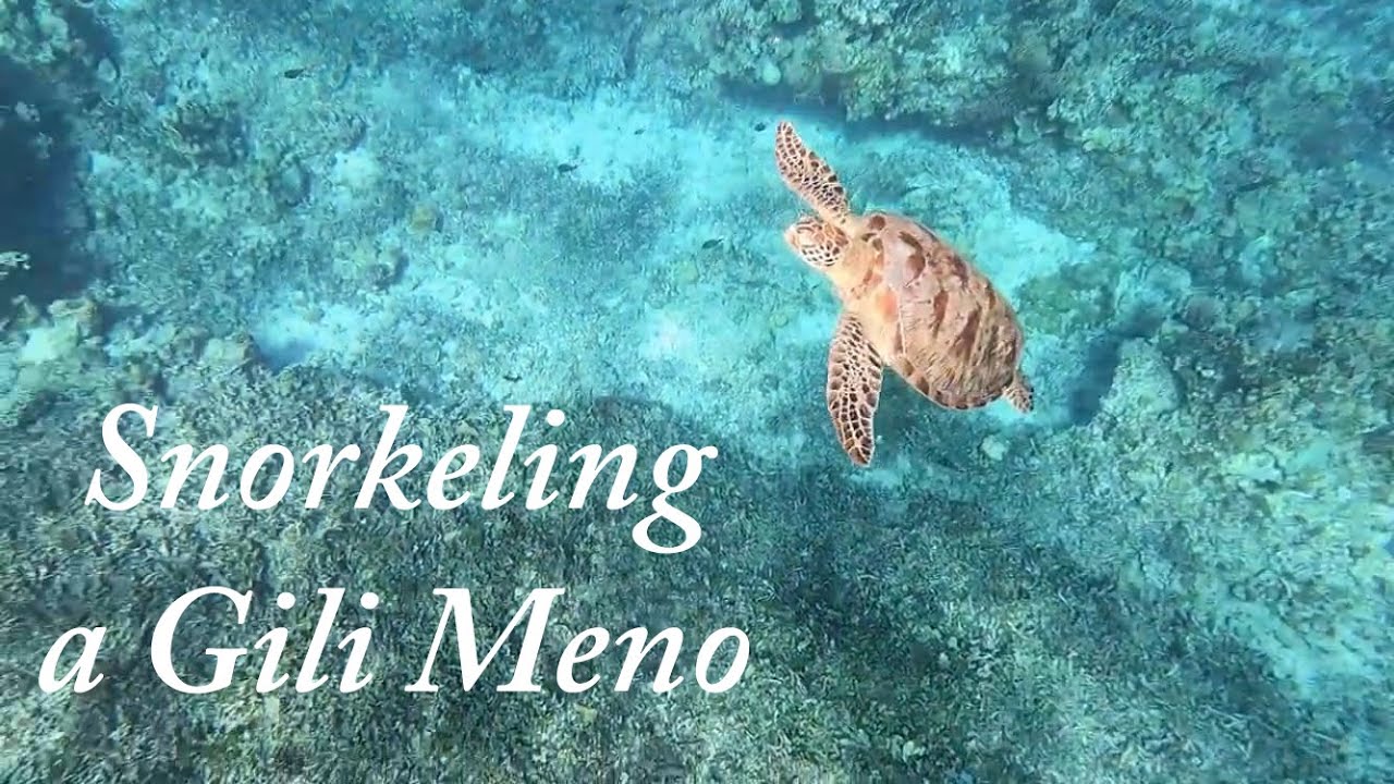 Snorkeling a Gili Meno