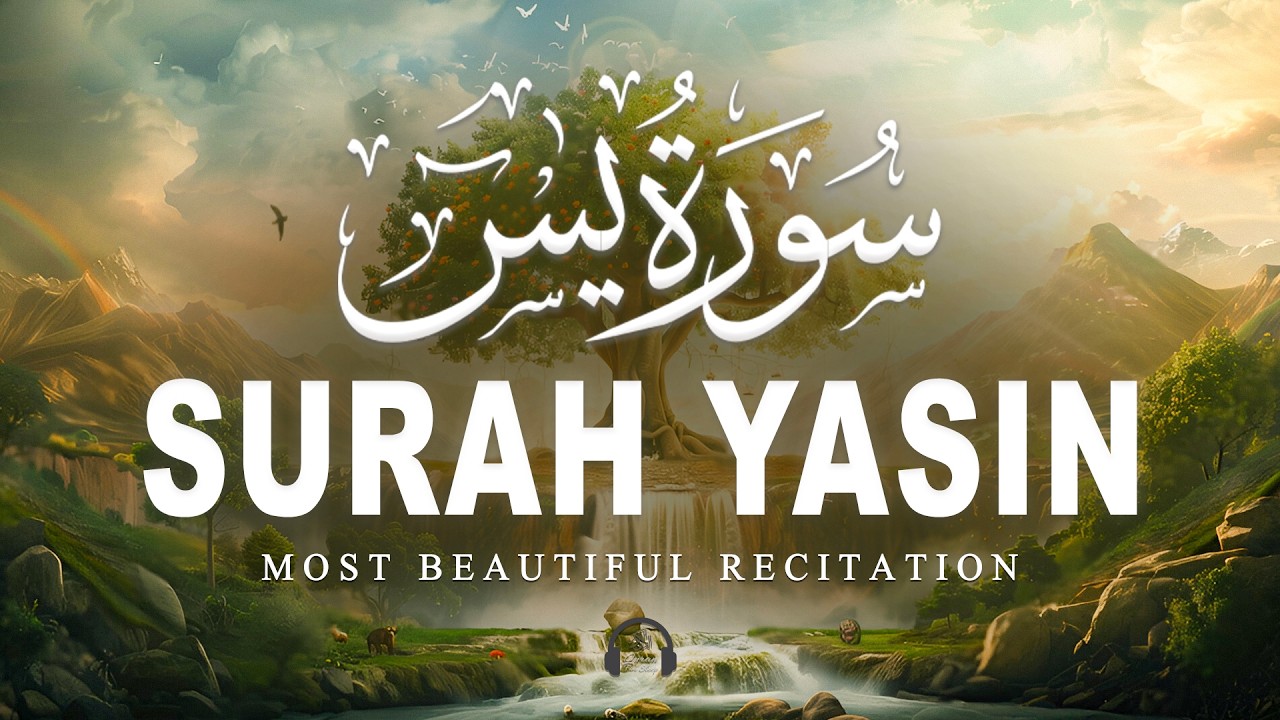 Surah Yaseen سورة يس | Soul Soothing Quran Recitation for Deep Sleep & Healing | Quran for Sleep