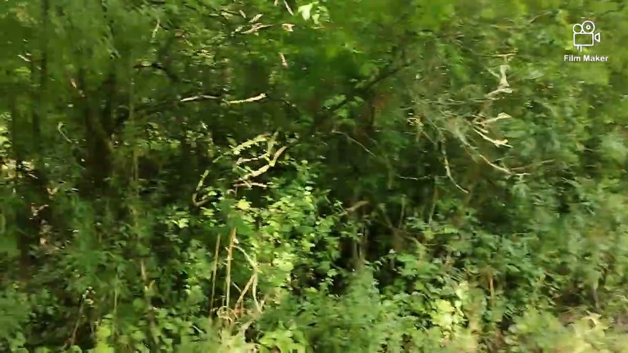 Gogolin piękny dziś i natura👍👍🙂