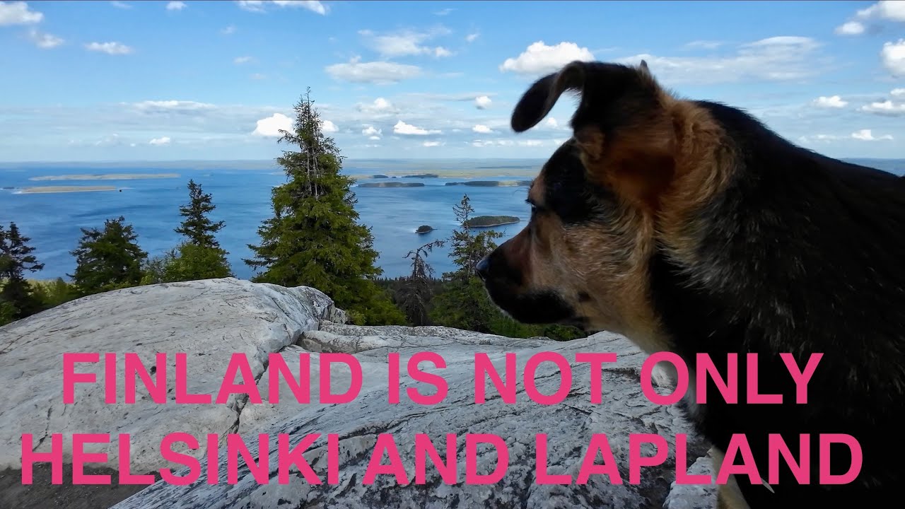 VANLIFE FINLAND | KOLI NATIONAL PARK | ART | ANTIQUE | WILD CAMPING