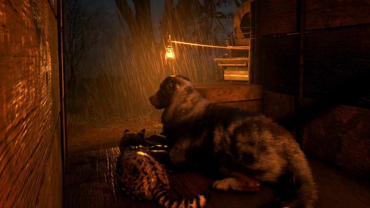 Safe And Snug On A Dark Stormy Night - Shady Belle Camp | RDR2 ASMR