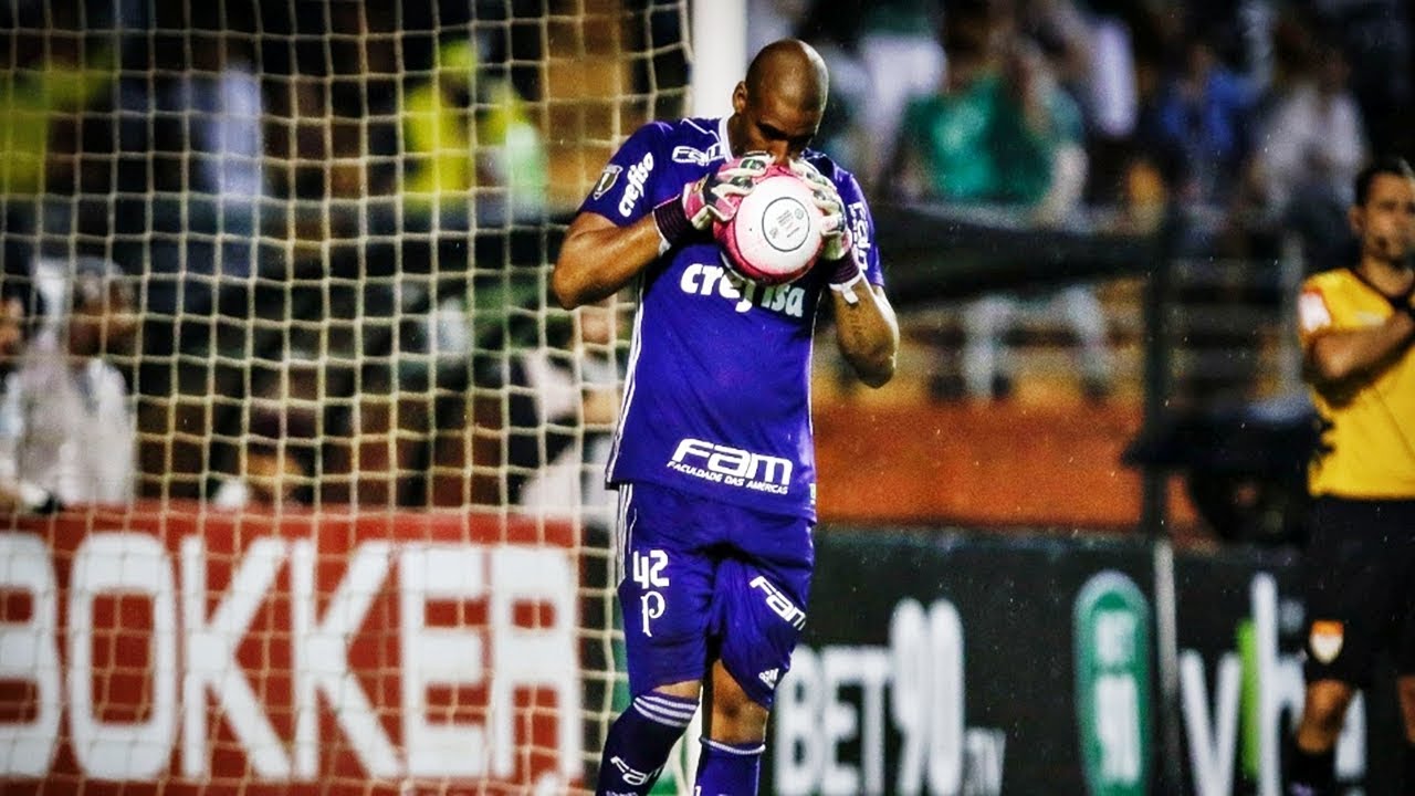 JAILSON 2018 ● Craziest Saves ● SE Palmeiras ||HD|| 🇧🇷