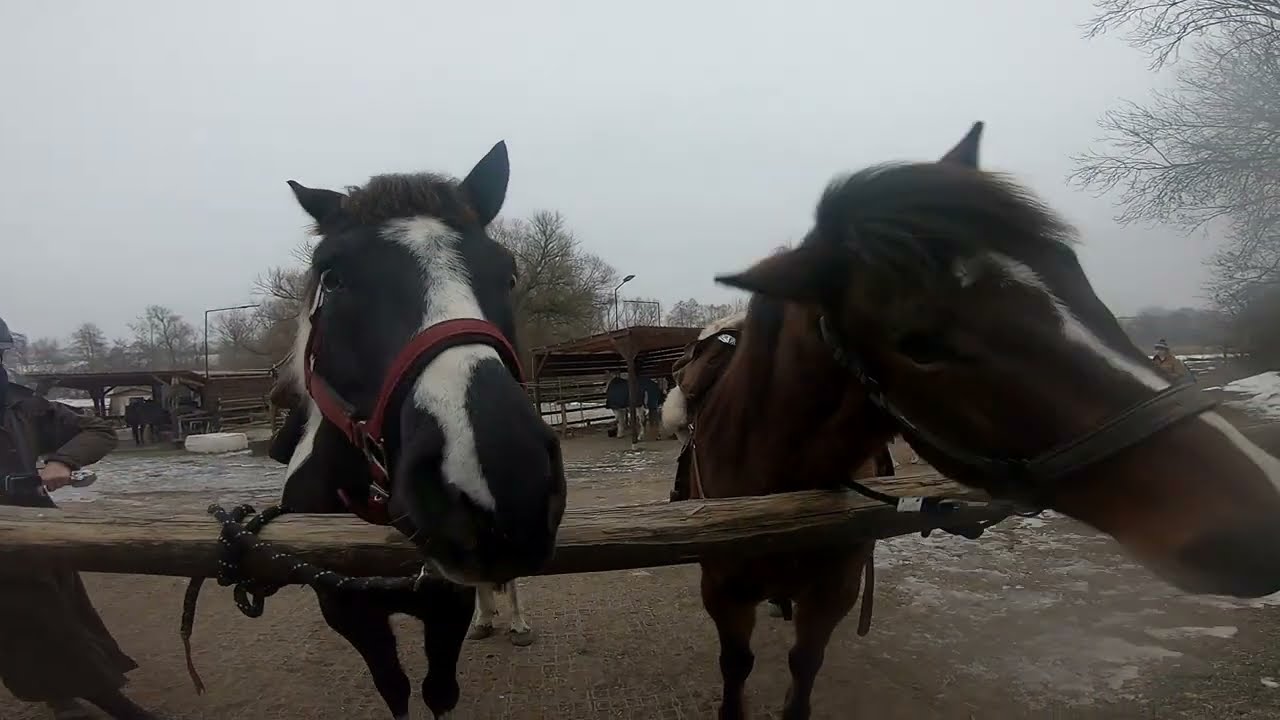 Ledová vyjížďka 24.1.2026 Monty+Black