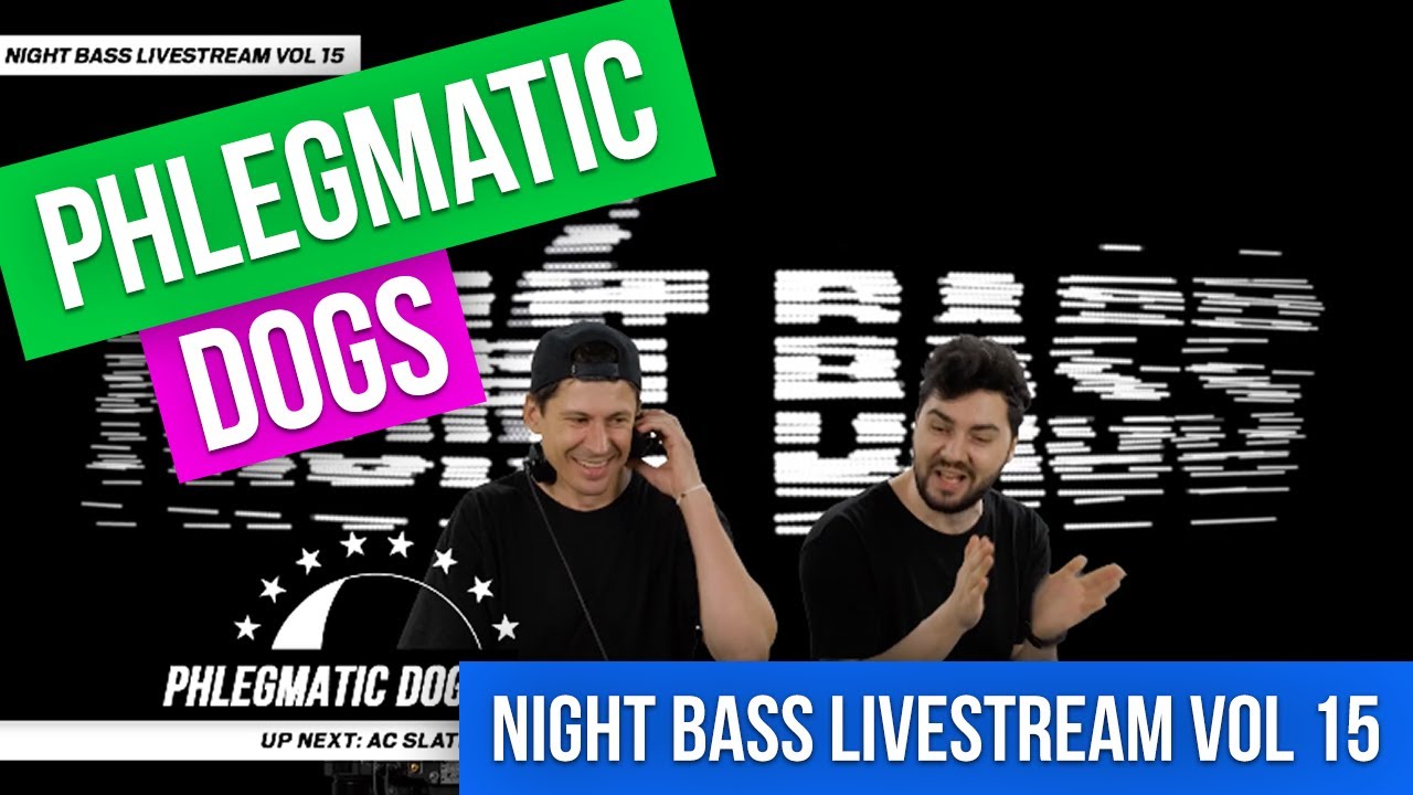 Phlegmatic Dogs // Bass House Mix Live From Russia