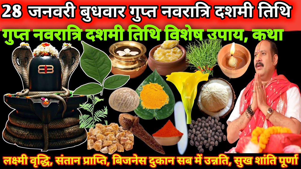 28 जनवरी बुधवार गुप्त नवरात्रि दशमी तिथि का विशेष उपाय जरूर करें।मनोकामना पूर्ति उपाय चूकना मत🌿#shiv