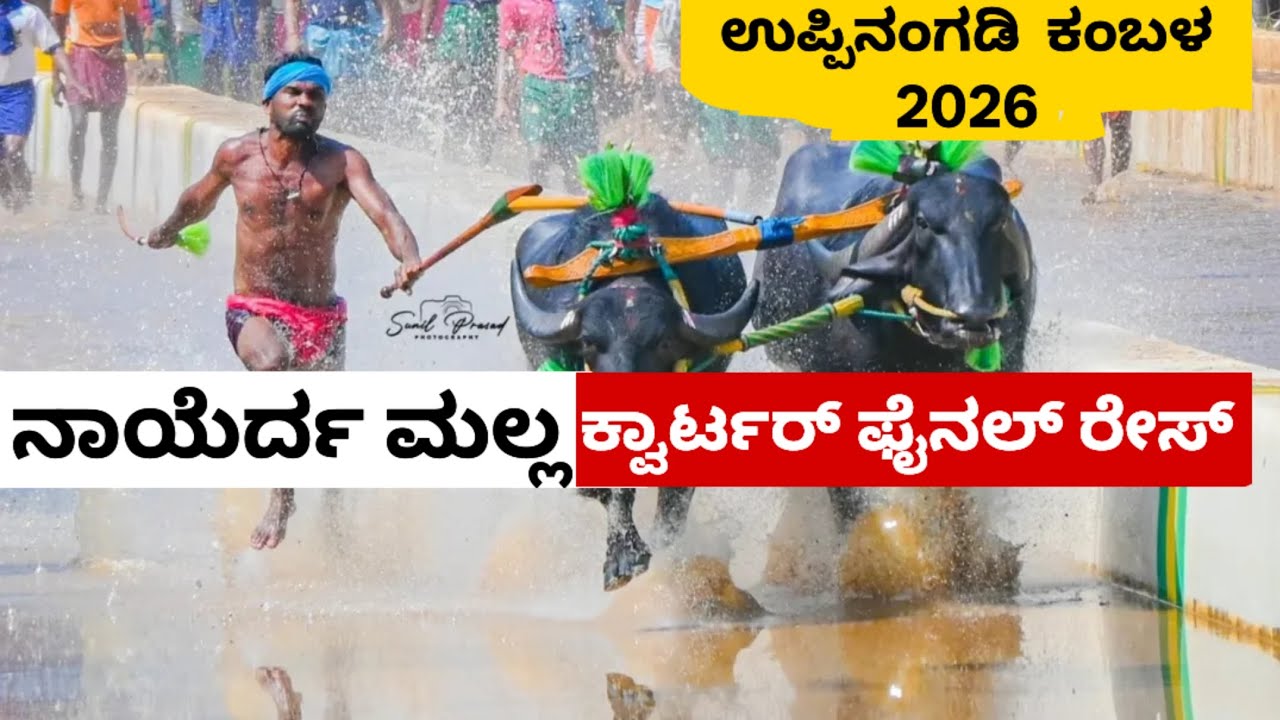Nayerda Malla Quarter Final Uppinangady Vijaya Vikrama Jodukare Kambala 2026
