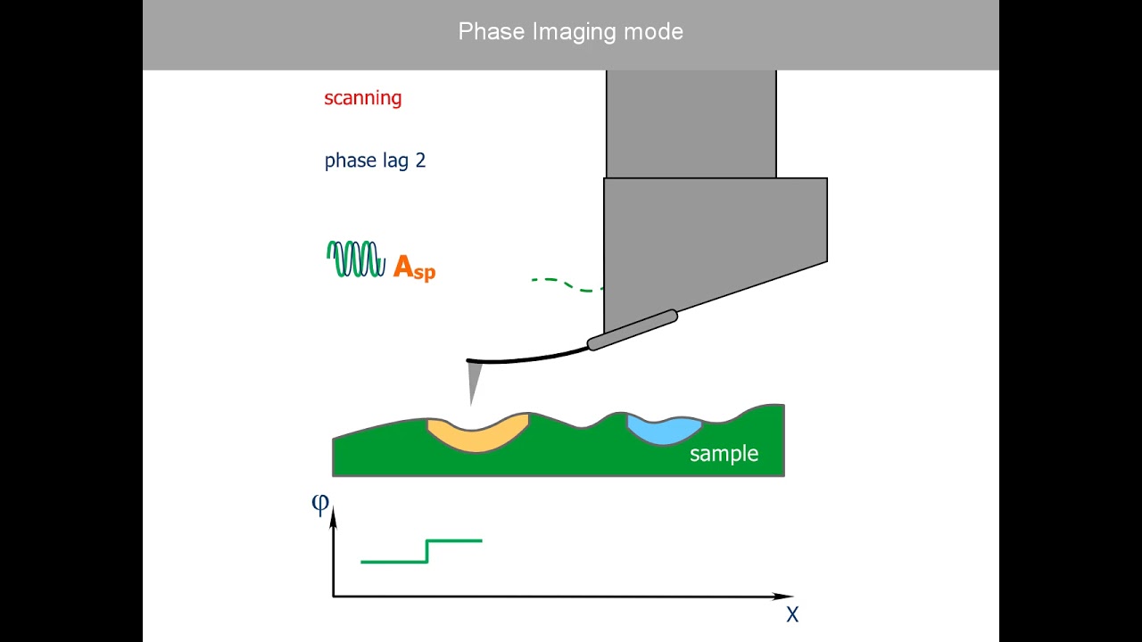 Phase Imaging mode. AFM Theory from NT-MDT.