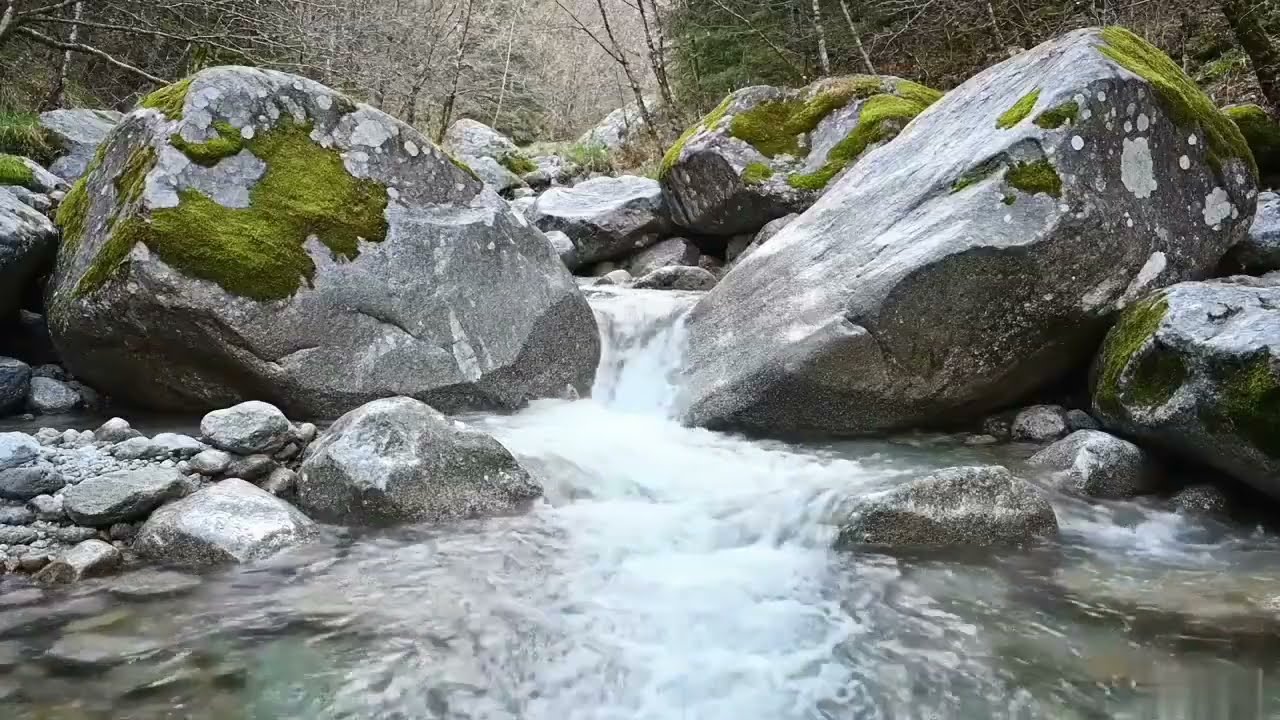 Relaxing Forest Stream Sounds Flowing Between Mossy Rocks | Peaceful Nature Water Sounds Sleep Study