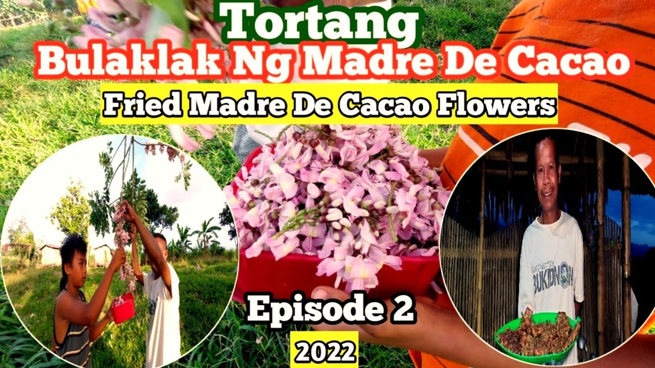 Ep.2 || Tortang Bulaklak Ng Madre De Cacao || Life in Bukidnon Province