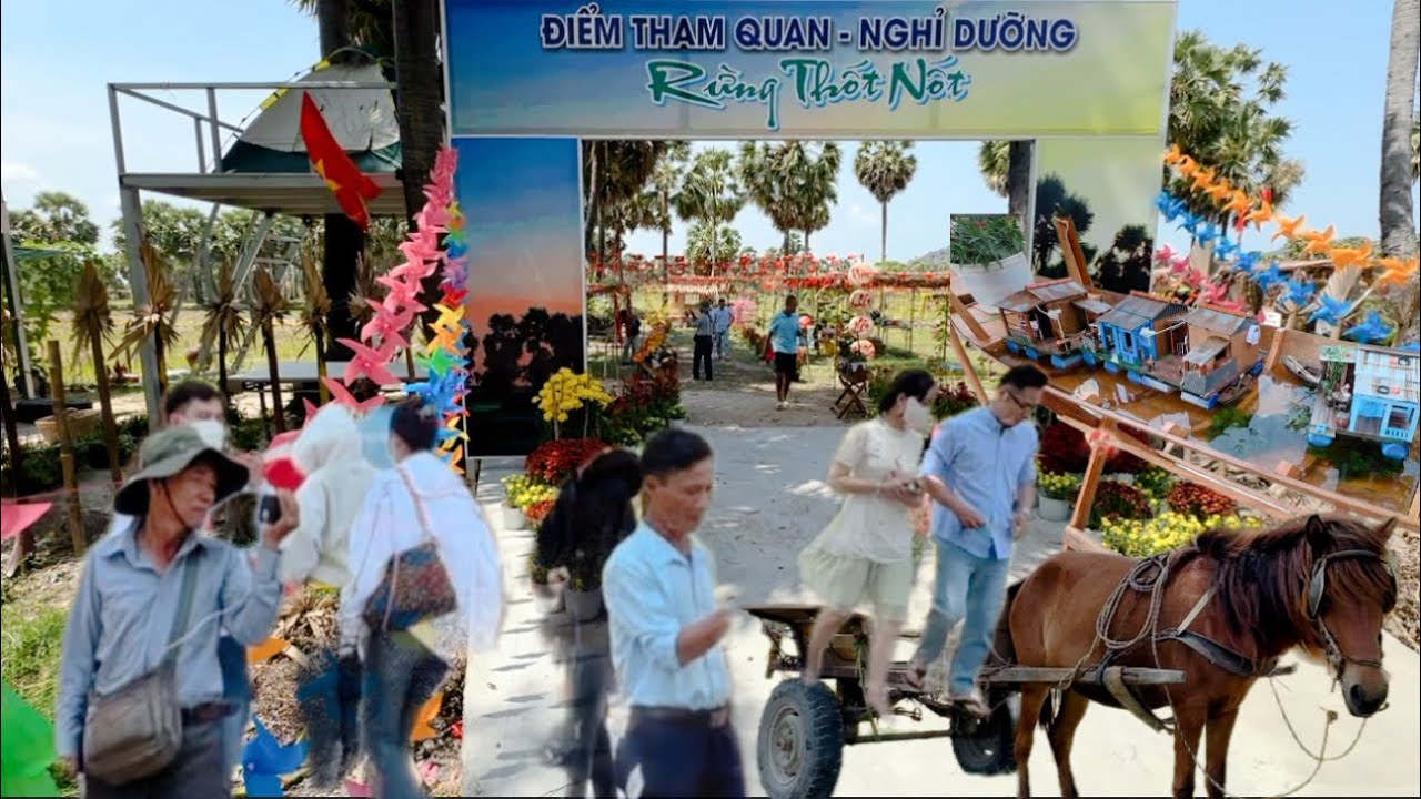 Khu du lịch sinh thái rừng thốt nốt vùng bảy núi tri tôn