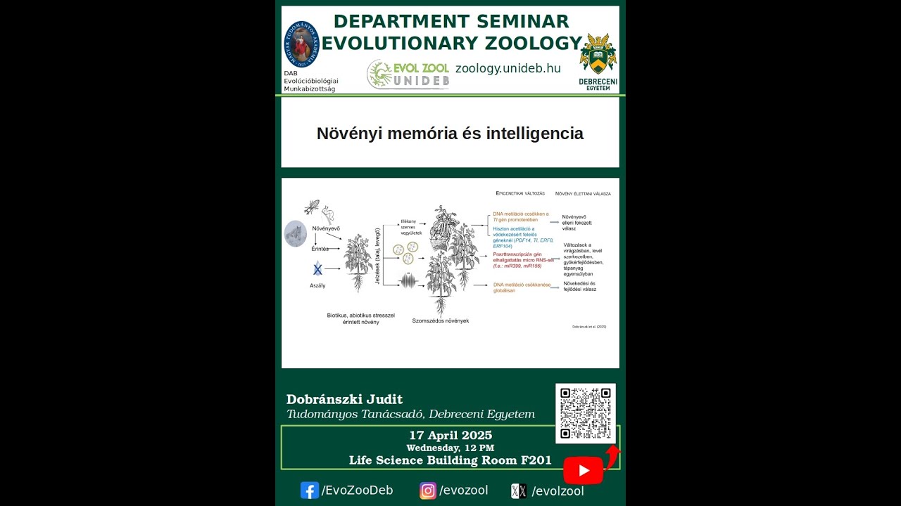 Növényi memória és intelligencia