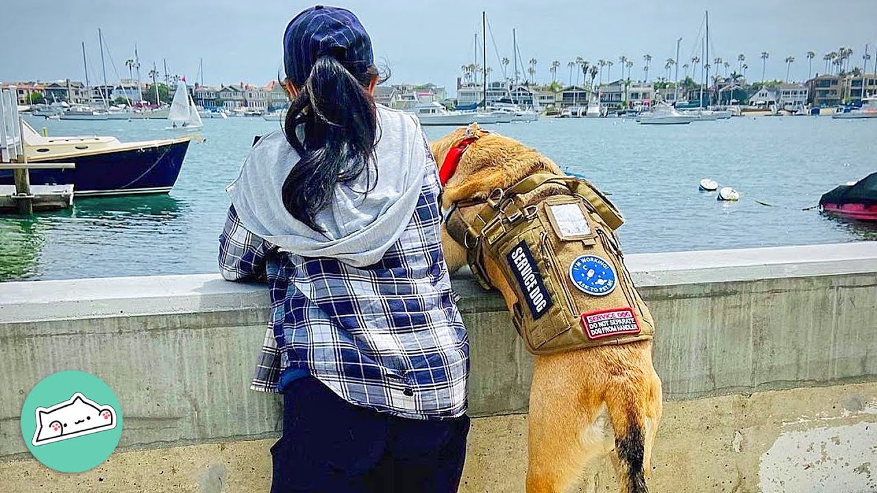Service Pup Helps Woman Keep Her Balance | Cuddle Buddies
