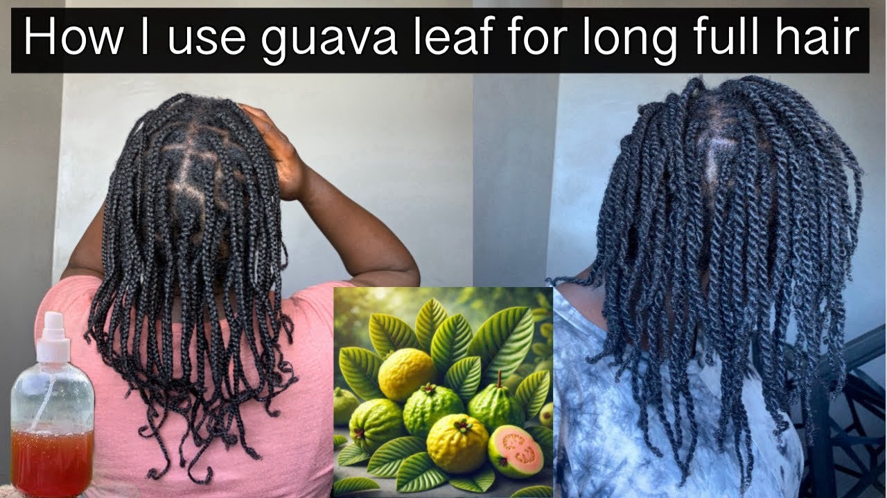 HOW TO USE GUAVA LEAF FOR LONG FULL HAIR /HAIR GROWTH WITH GUAVA LEAF