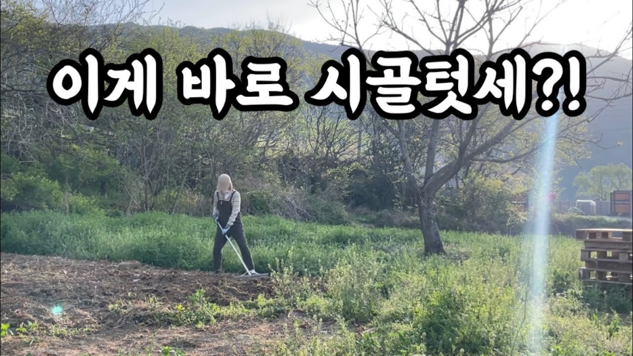 처음 겪어보는 시골텃세.. 웃음밖에 안 나오네요